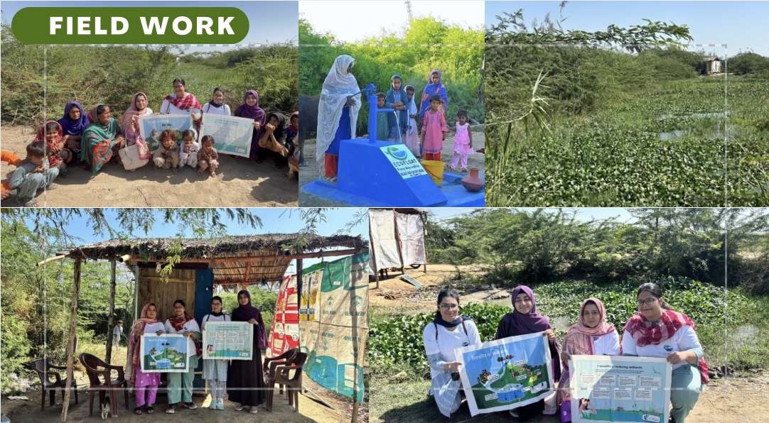 Floating Wetlands: Youth-Led Climate Innovation Transforming Communities